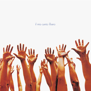 500部大龄熟胖乱视频
