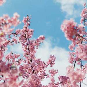 500部大龄熟胖乱视频
