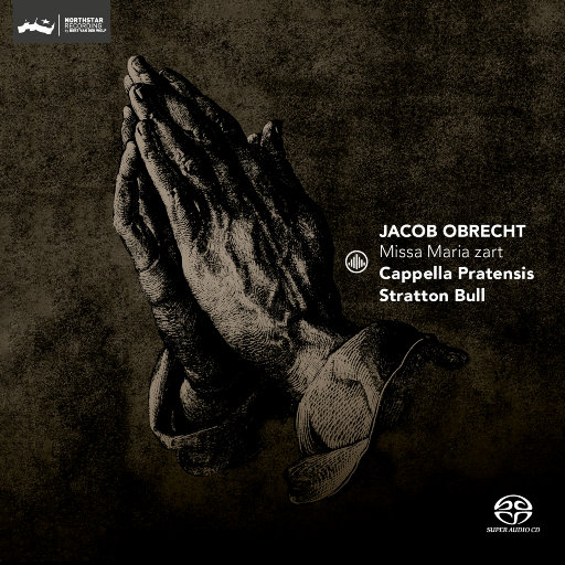 500部大龄熟胖乱视频
